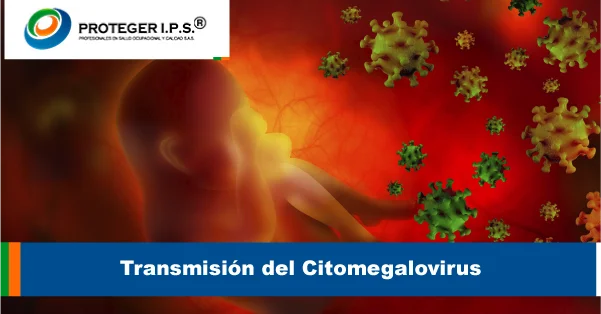 Transmisión del Citomegalovirus