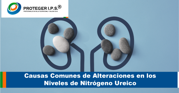 Causas Comunes de Alteraciones en los Niveles de Nitrógeno Ureico