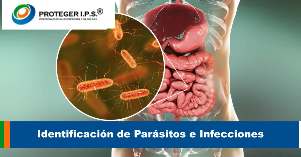 Identificación de Parásitos e Infecciones